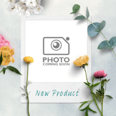 McCall's M8148 (26W-32W) Misses' and Women's Pants - UNCUT Printed Tissue Paper Sewing Pattern